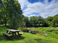 View of river