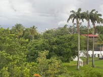 Kryssningsfartyget syns över träden.