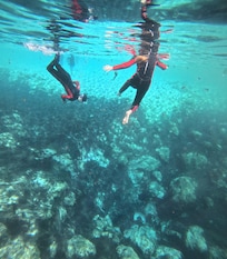 Hunter Springs