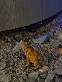 Our friend for the weekend!