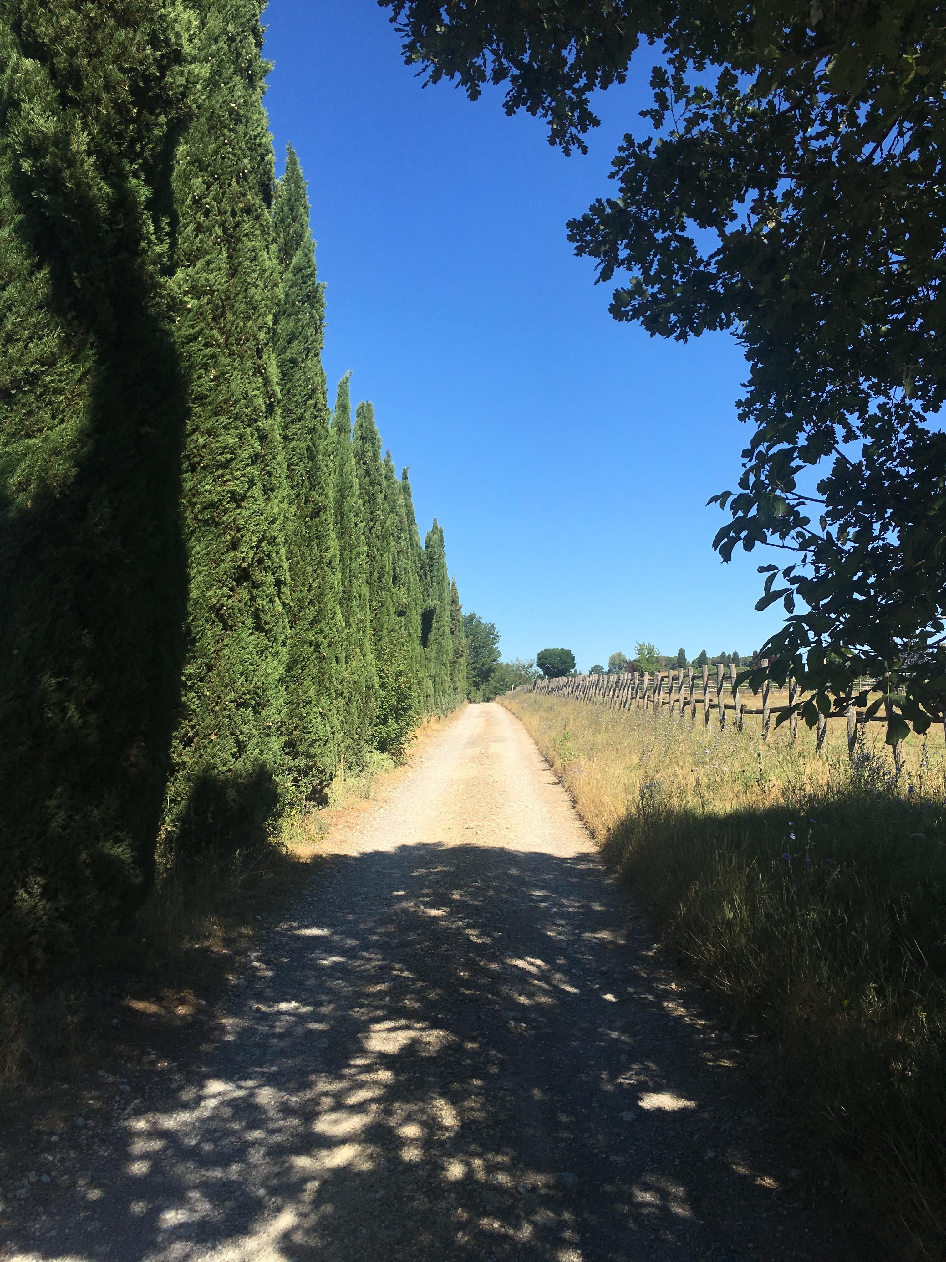 Driveway in