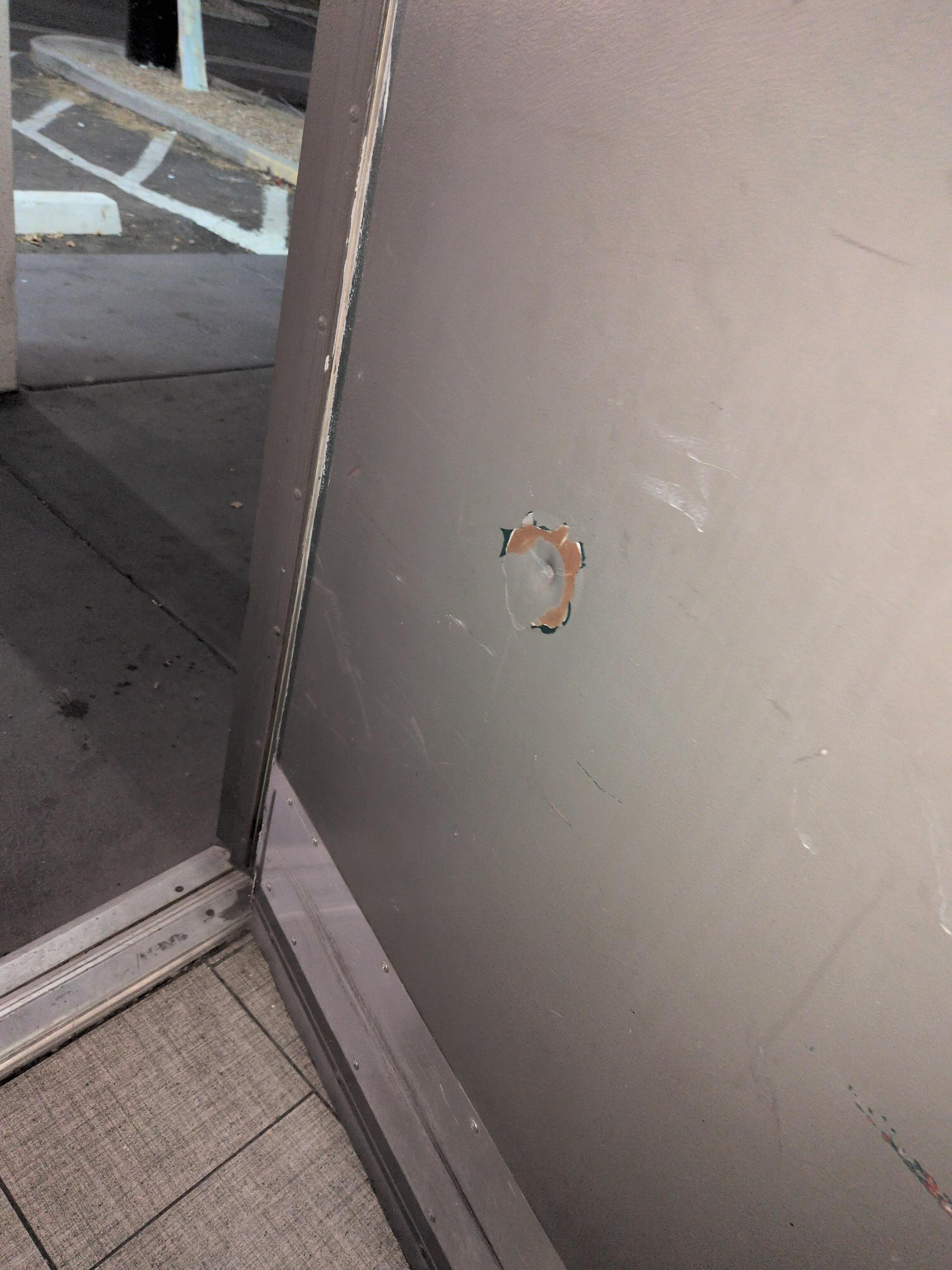 Kinda looks like a bullet that didn't fully penetrate