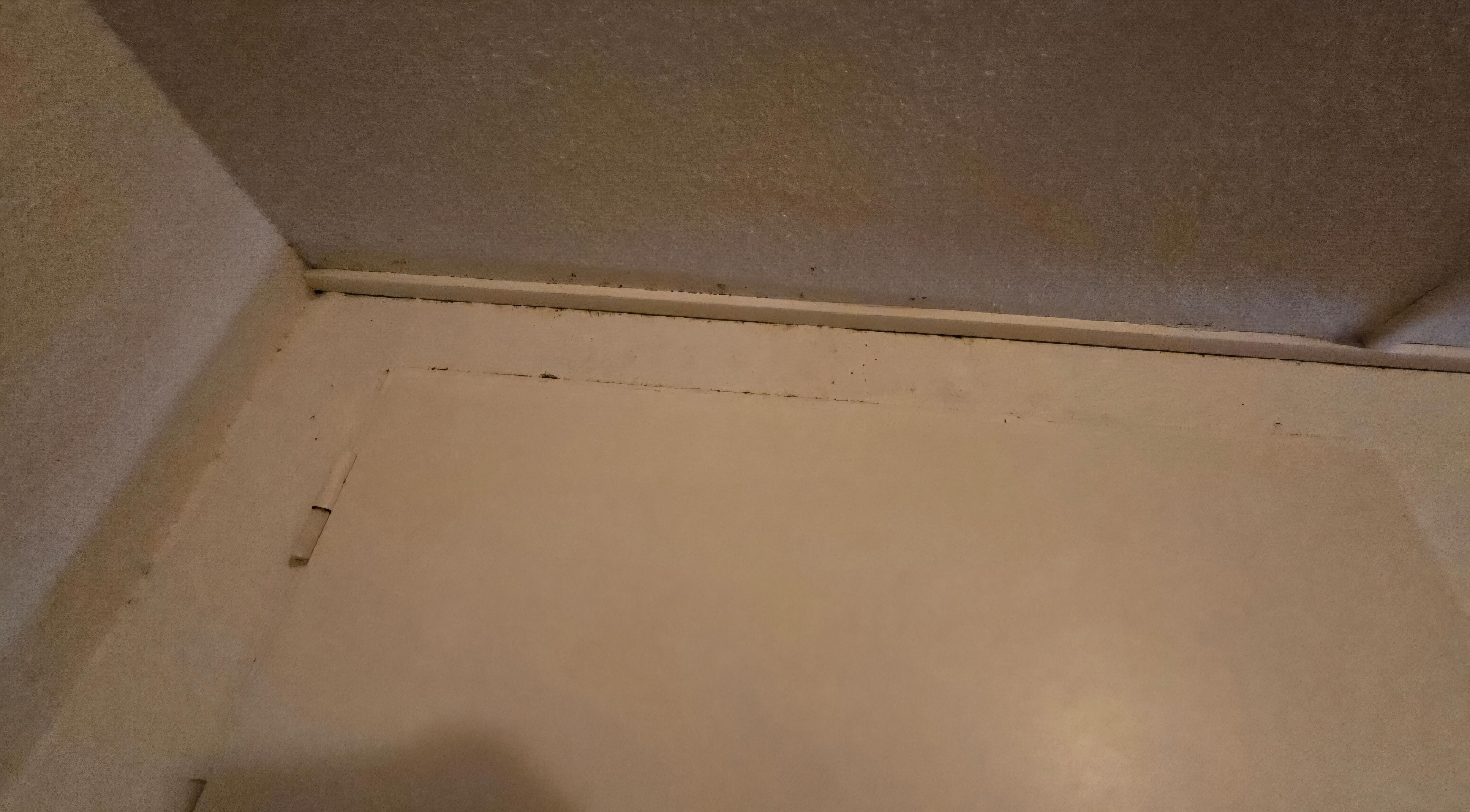 Damp all around ceiling 