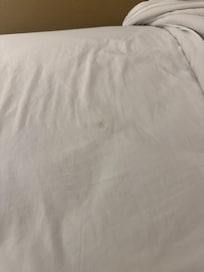 they more likely than not do not wash sheets after each guest