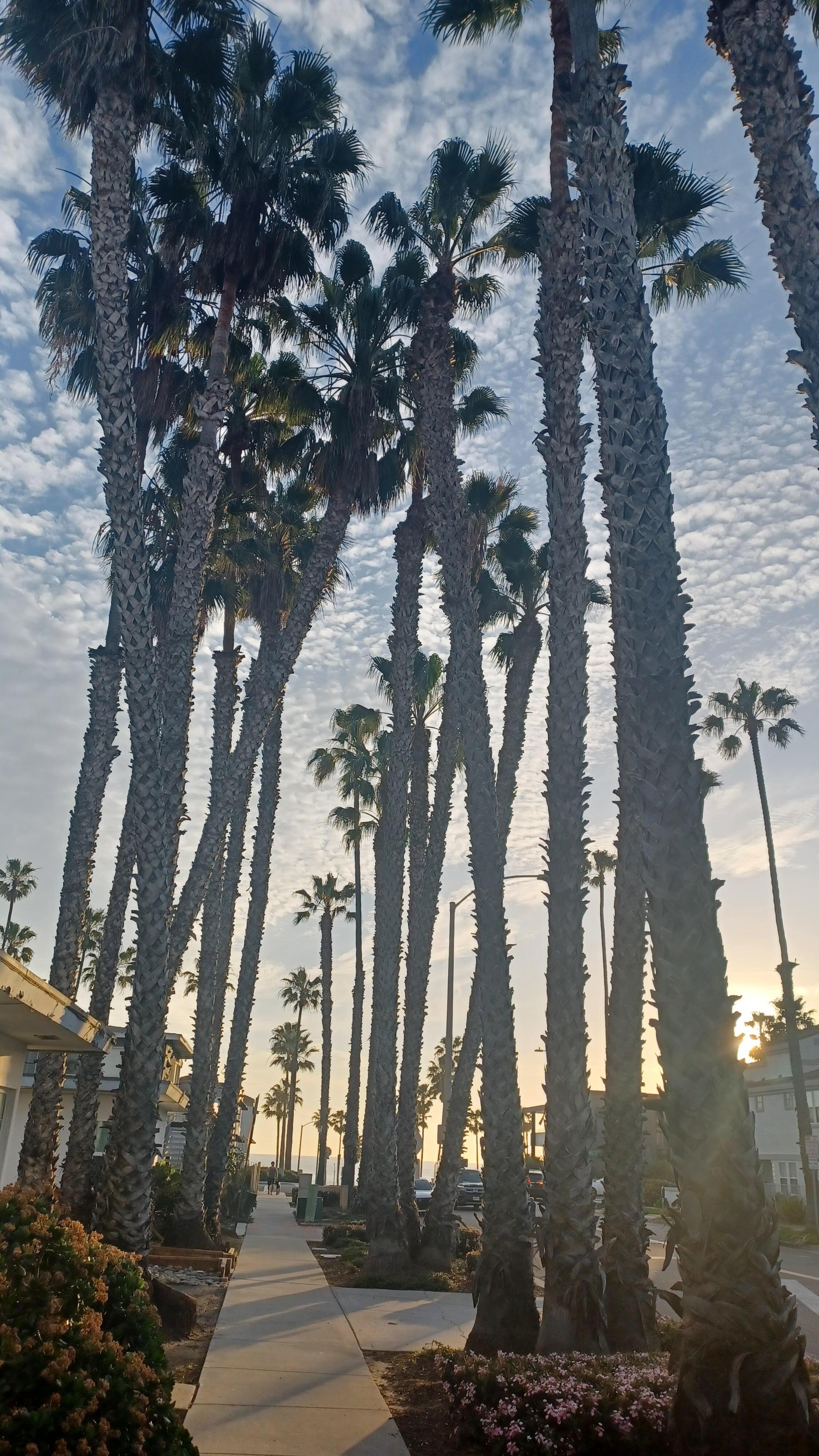 On walk to the beach.