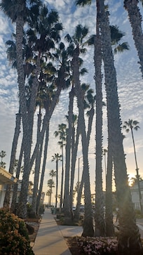 On walk to the beach.