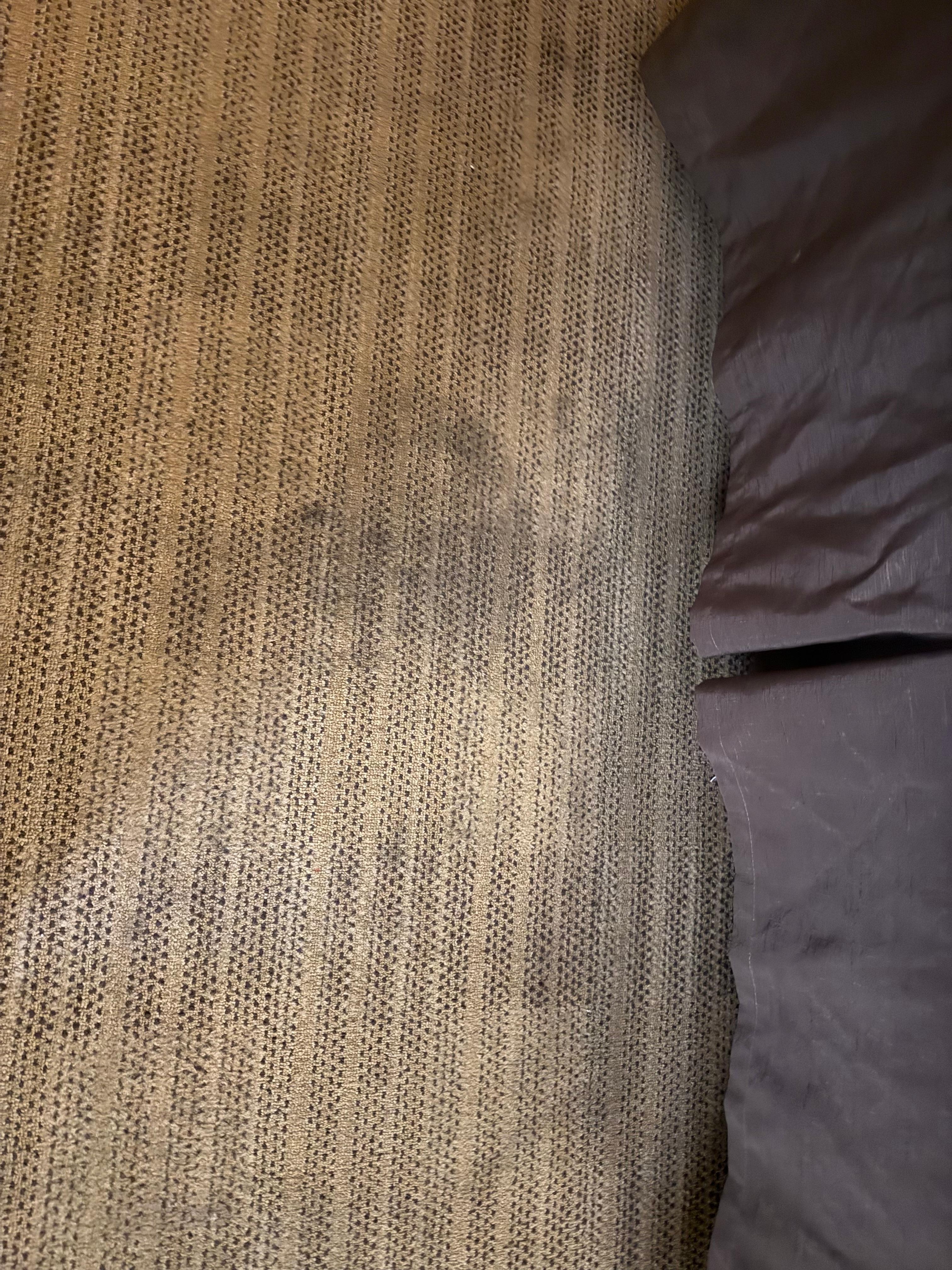 Disgusting stained carpet.