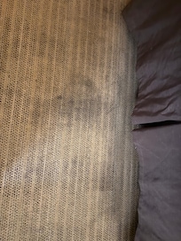 Disgusting stained carpet.