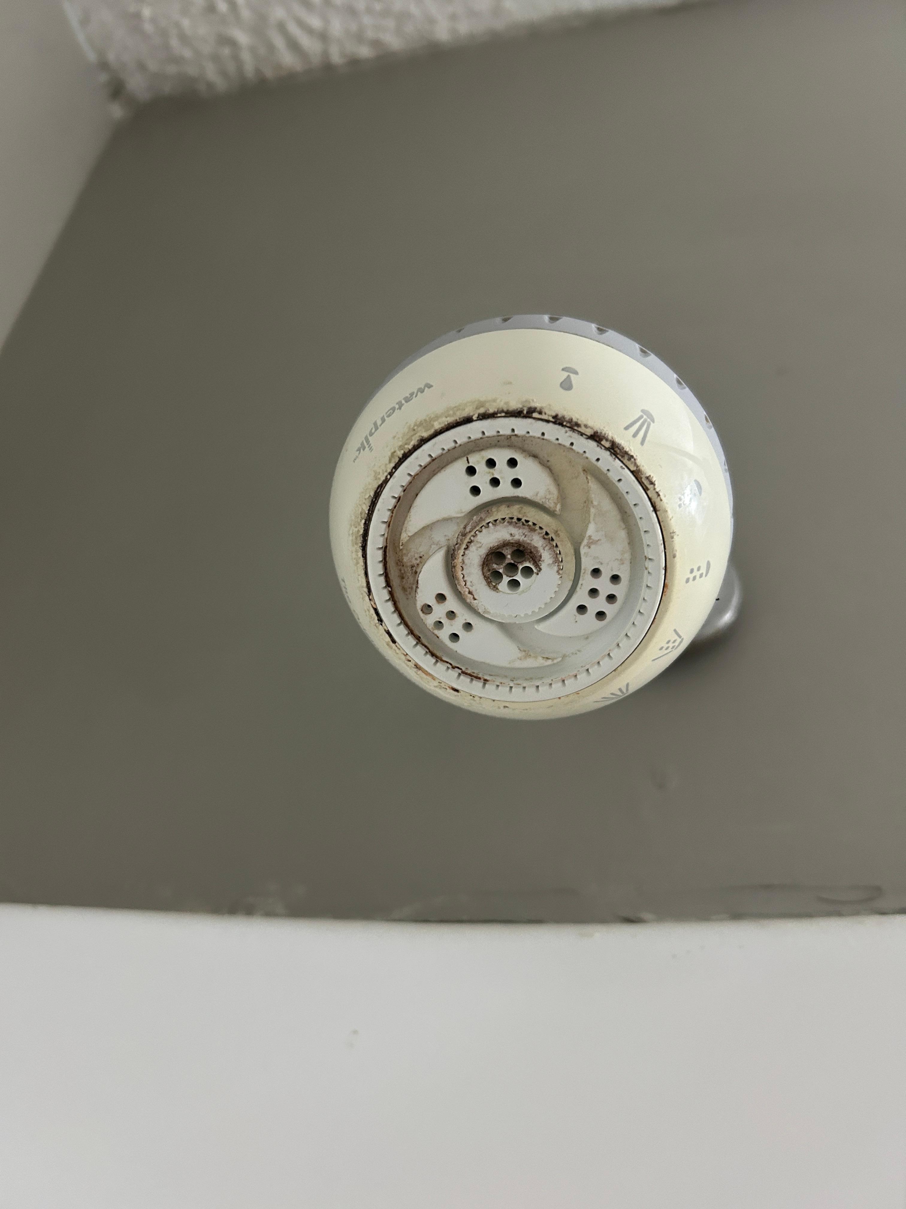 This was the shower head.