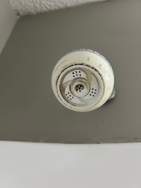 This was the shower head.