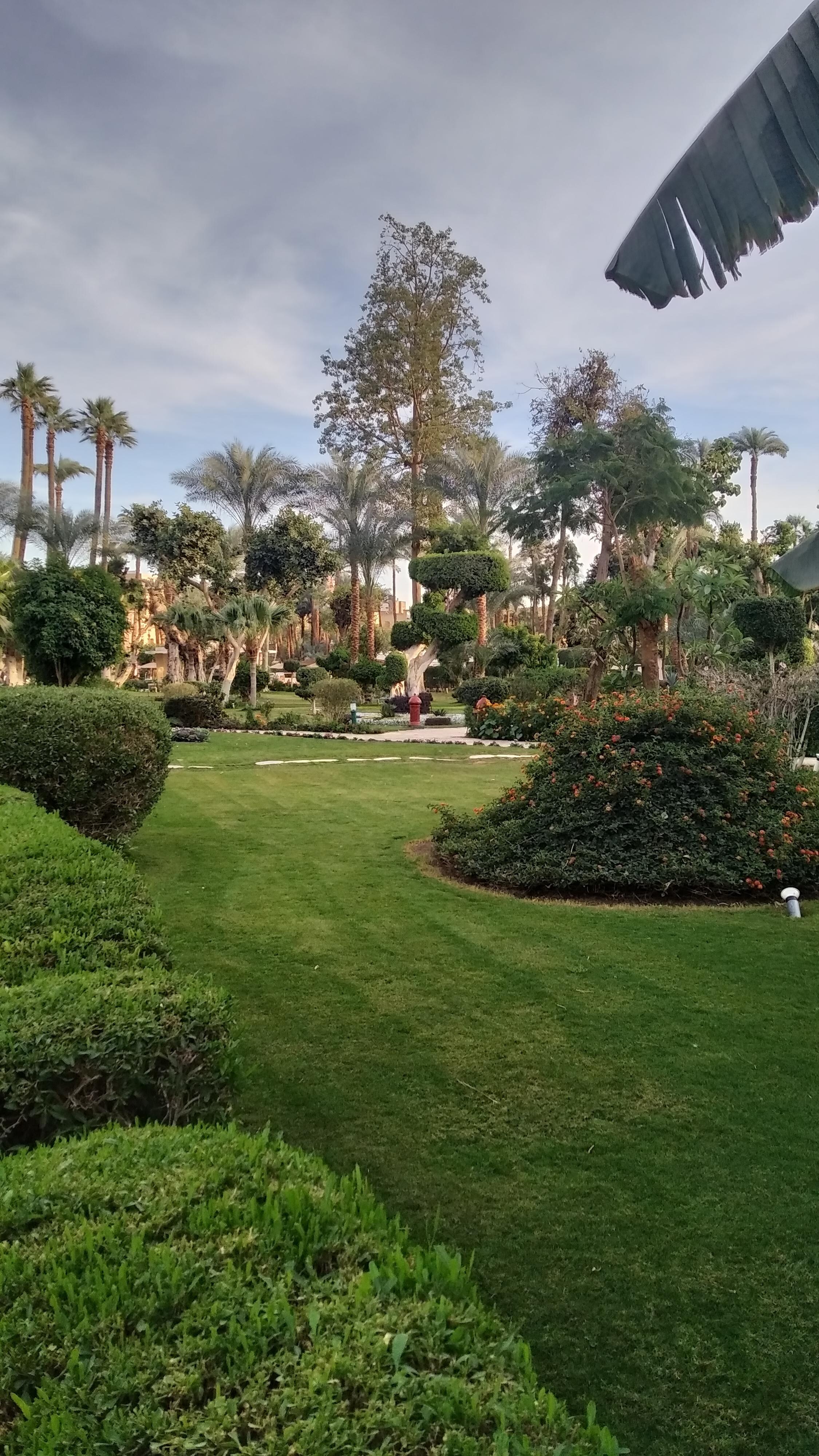 Jardim