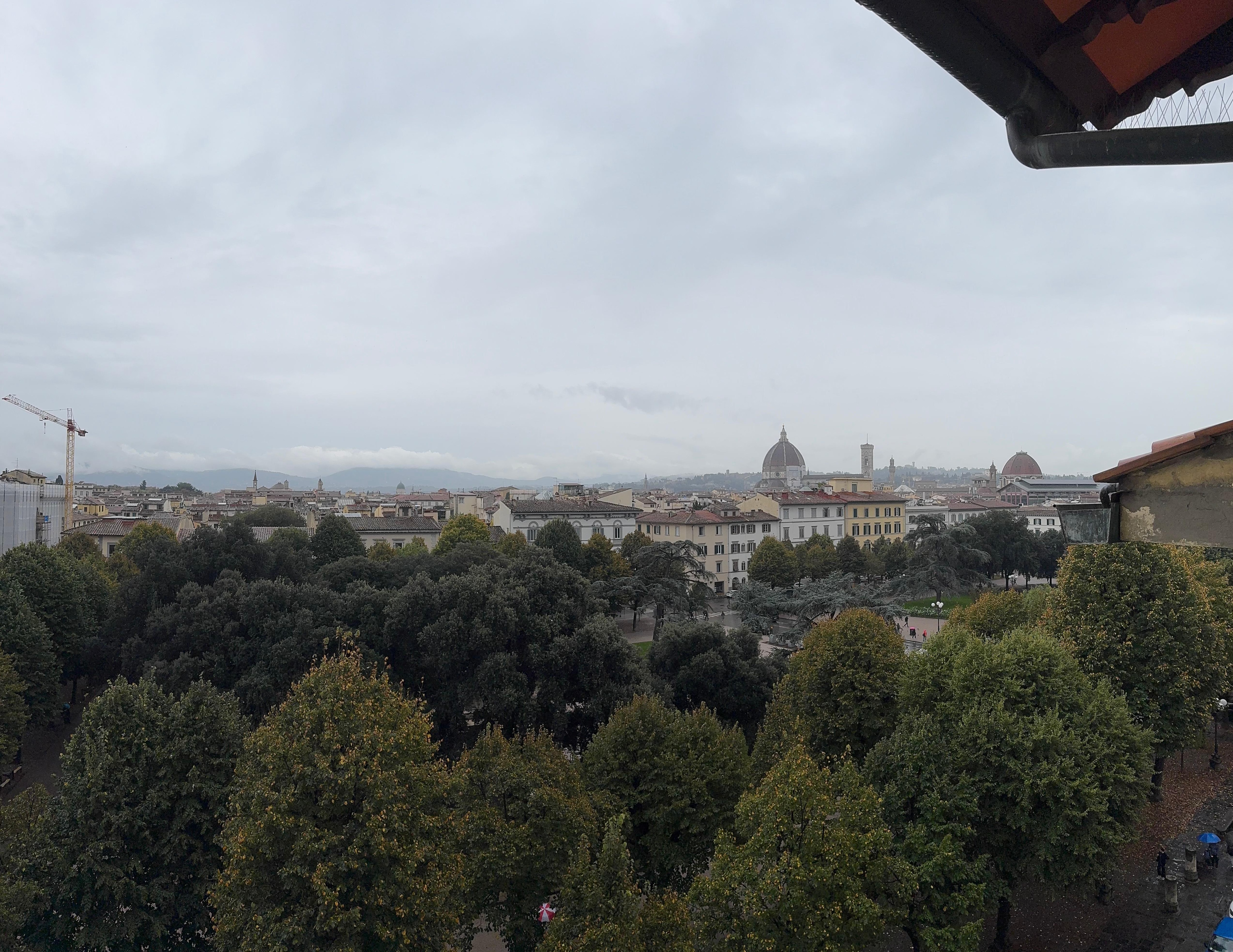 La vista de mi habitación 