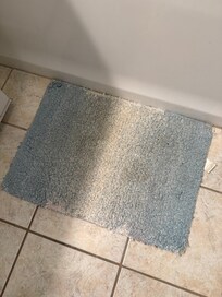 All of the rugs were stained & hadnât been washed or vacuumed in a very long time.