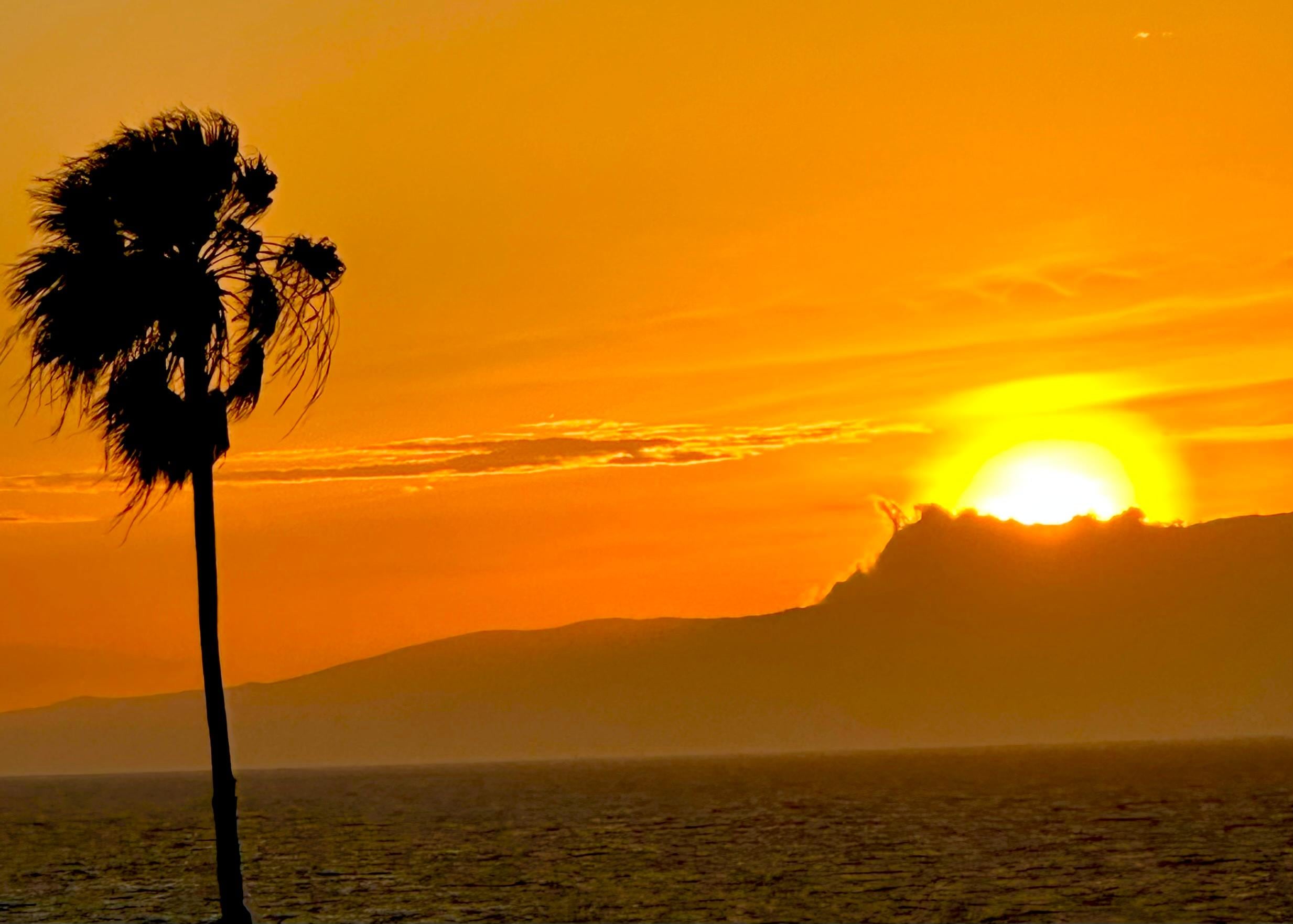 Taken about 10 yards from our unit