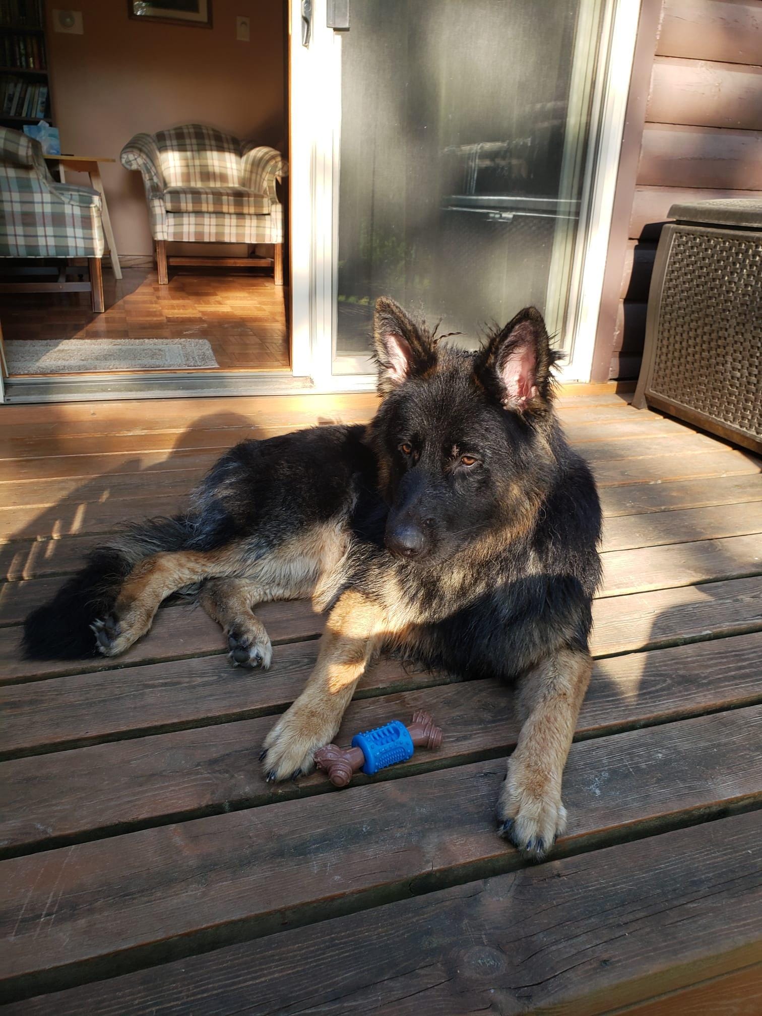 Relaxing on the deck.