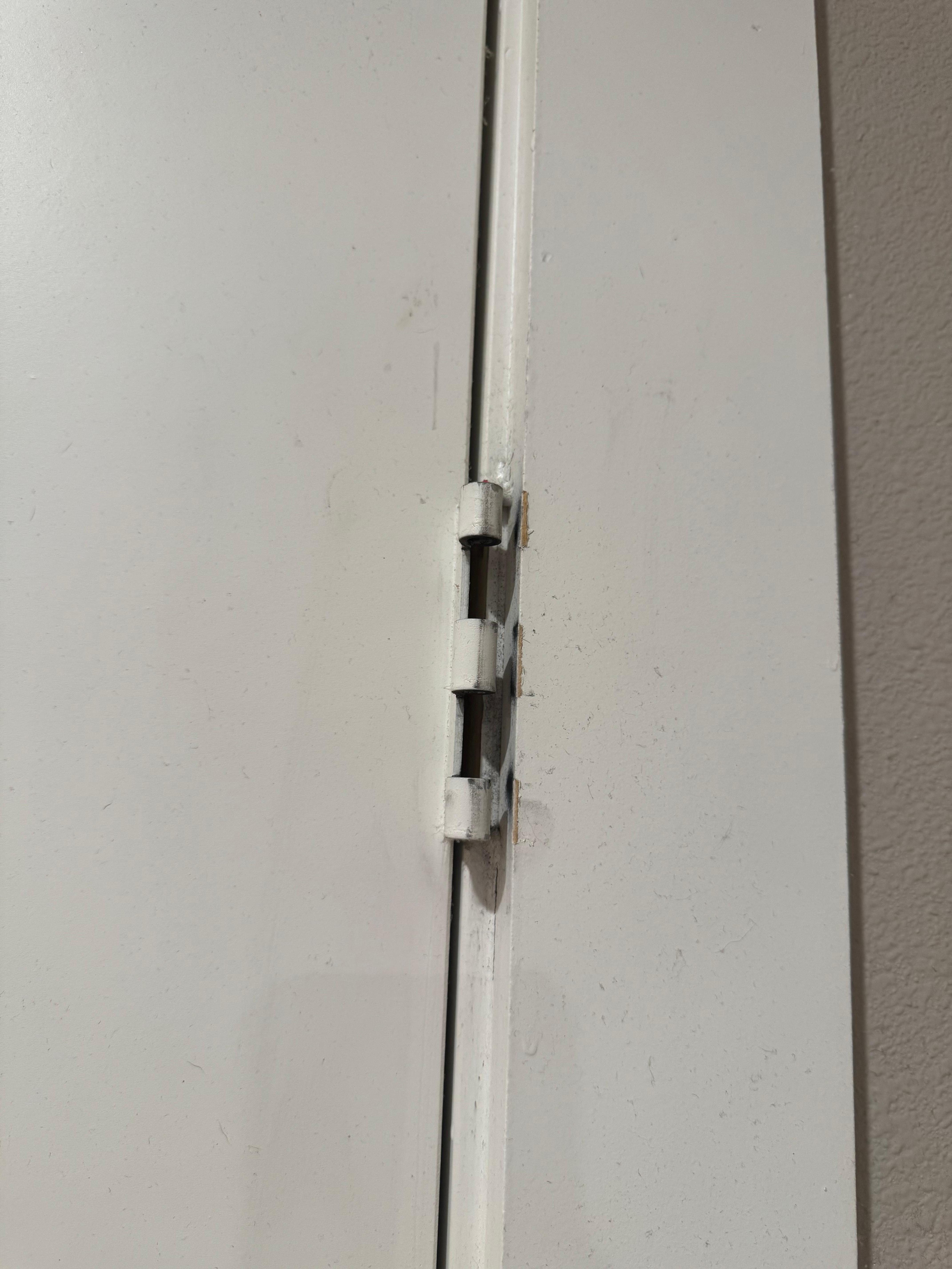 Doors missing hinges