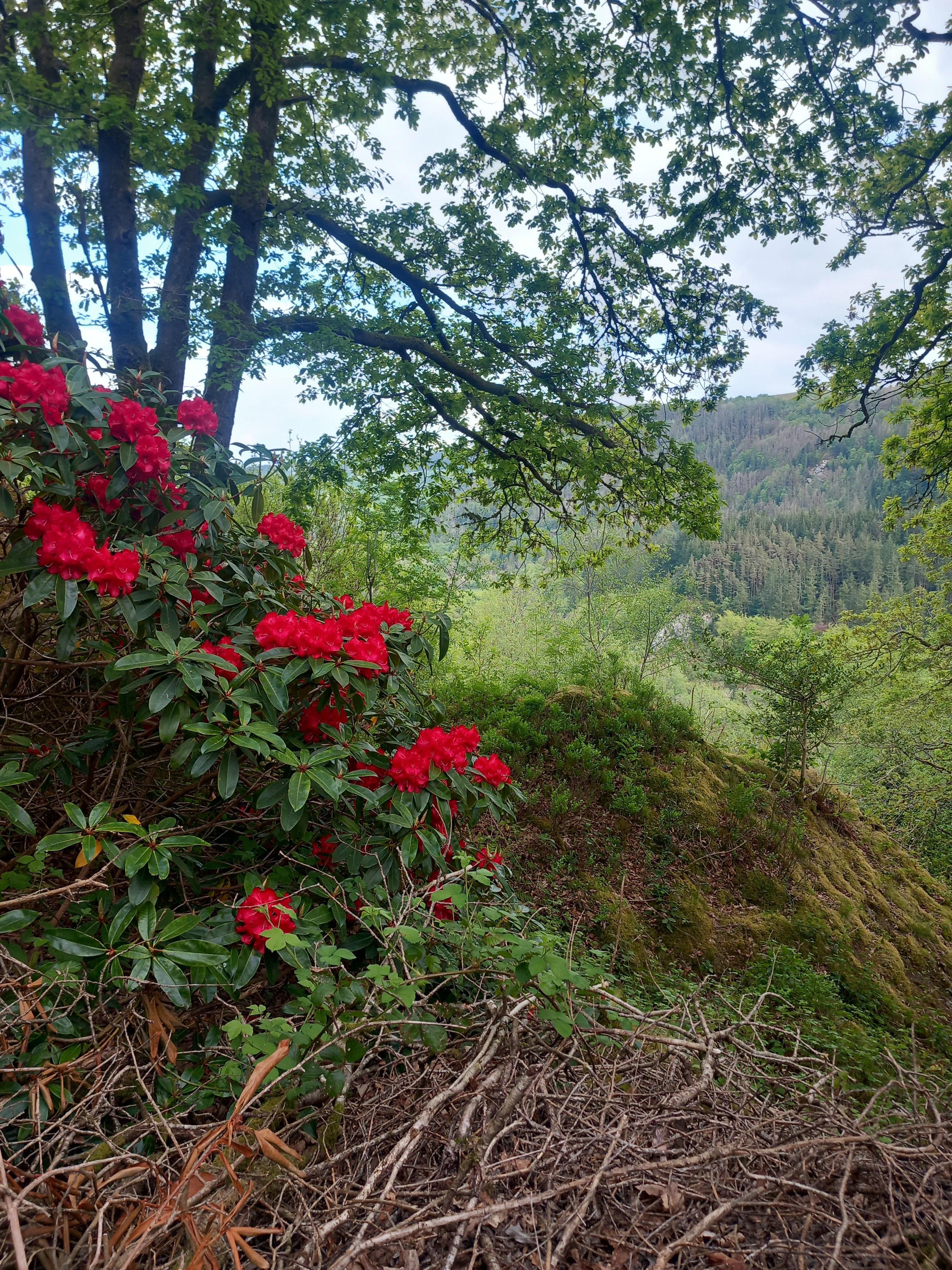 Beautiful, peaceful.and amazing.