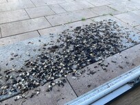 Direkt vor der Terrassentür…