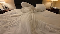 Both ruts in bed, straight edge down inside rut on the left side of bed.