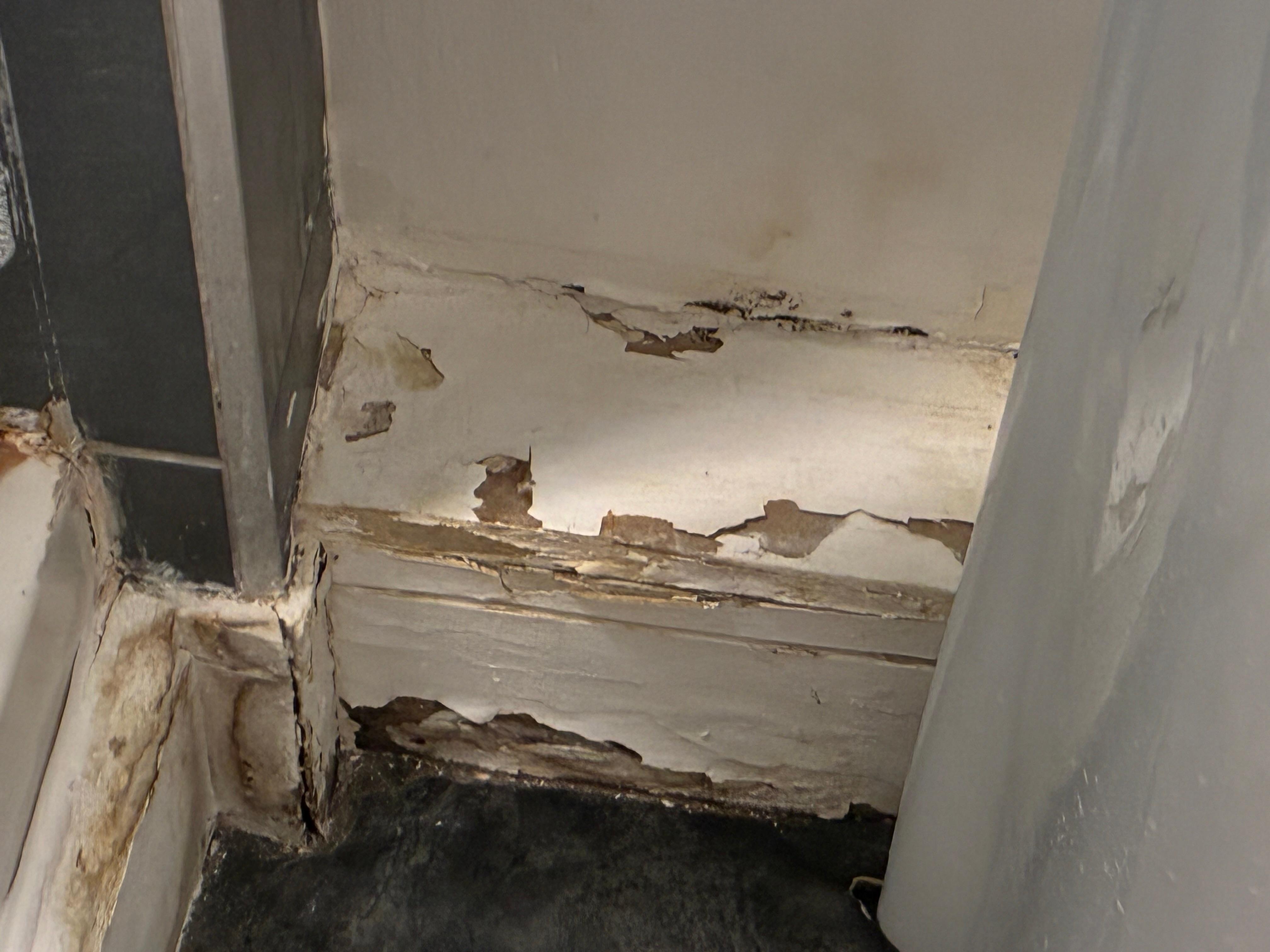 Three pics showing mold on bathroom wall and floor 