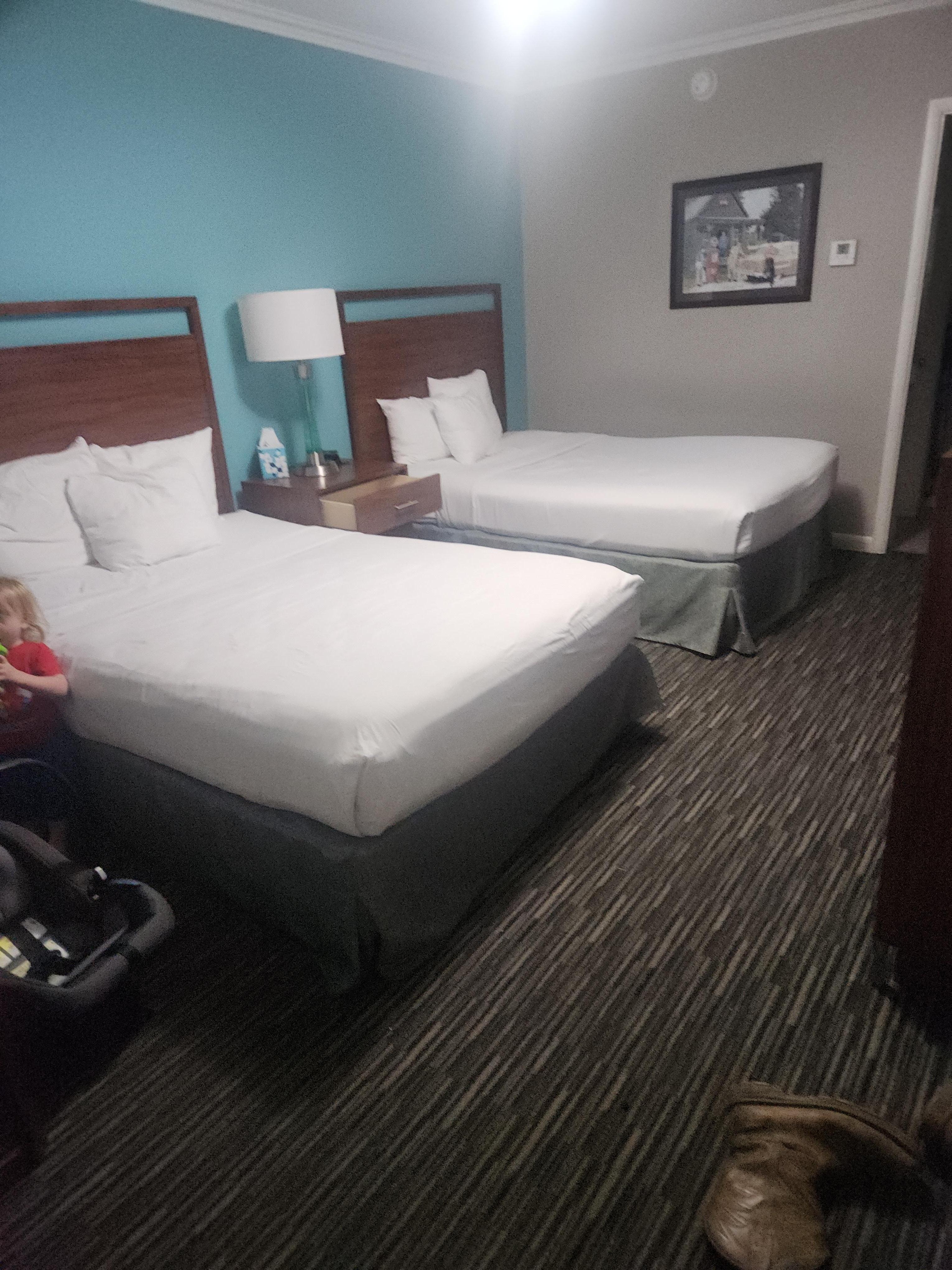 Very clean rooms
