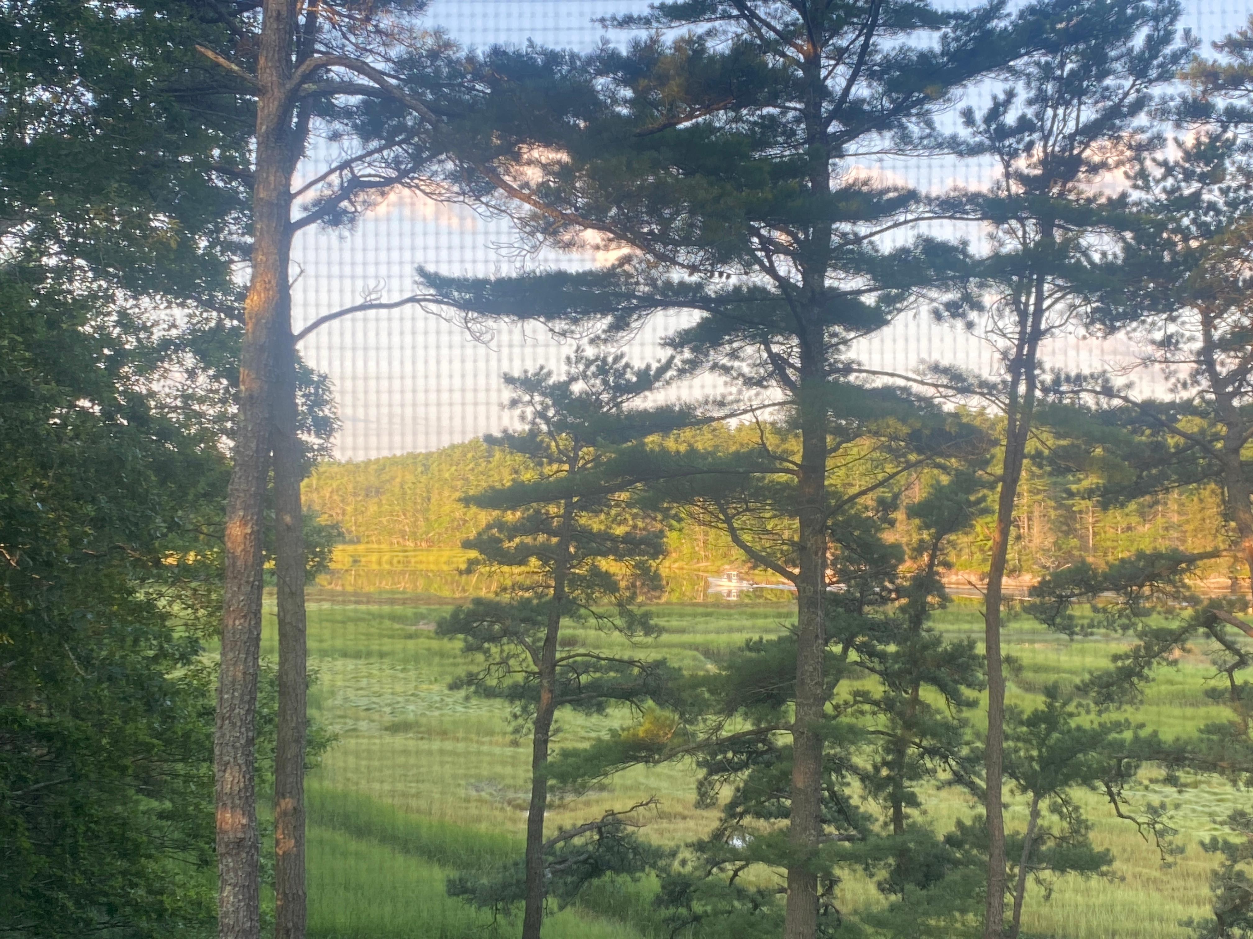 VIew through the screen