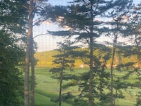 VIew through the screen