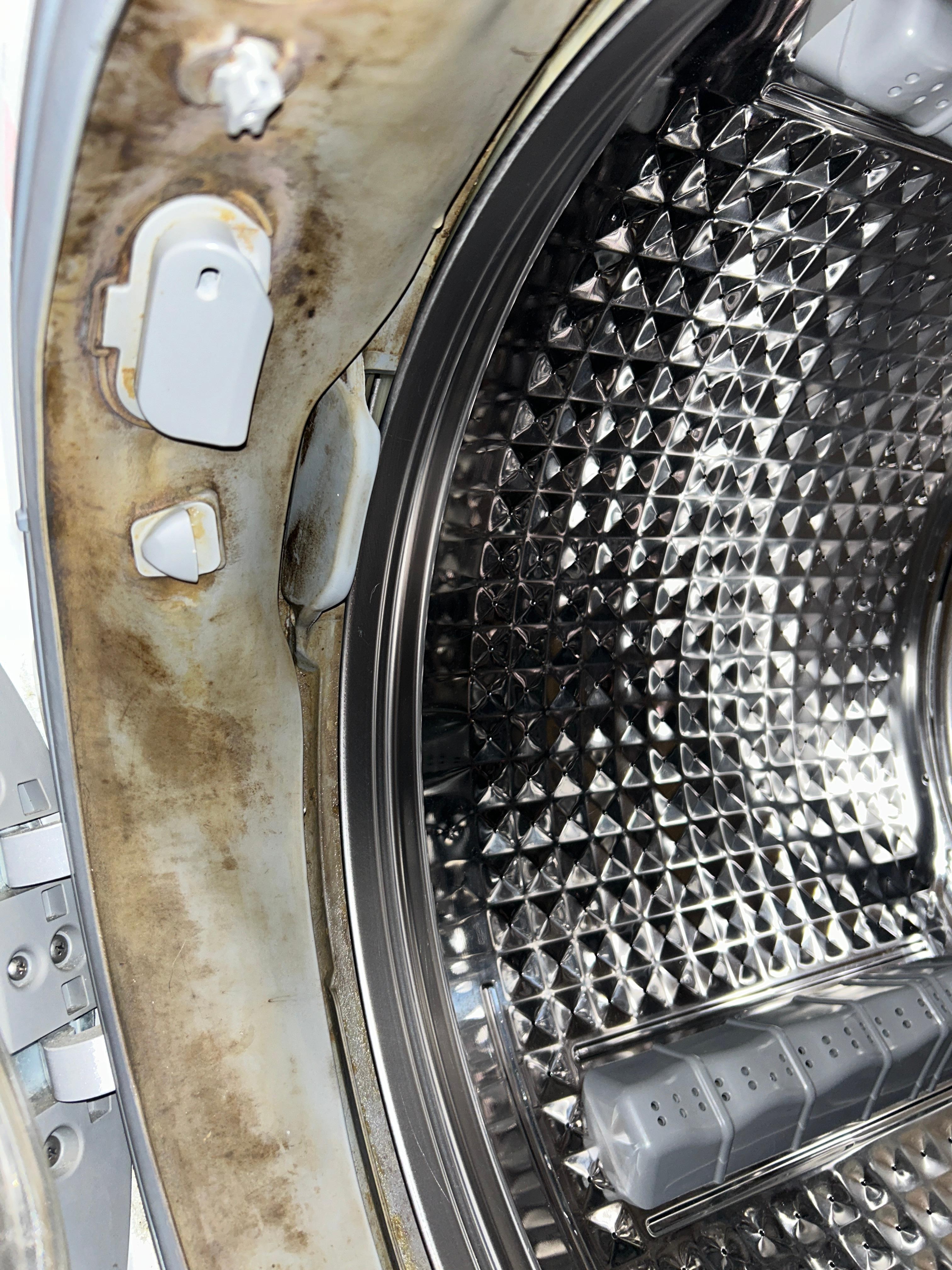 Moldy washing machine 