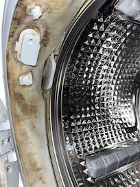 Moldy washing machine