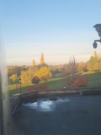 View from bedroom