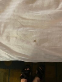 Filthy sheets with a blood stain