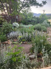 View from living room window