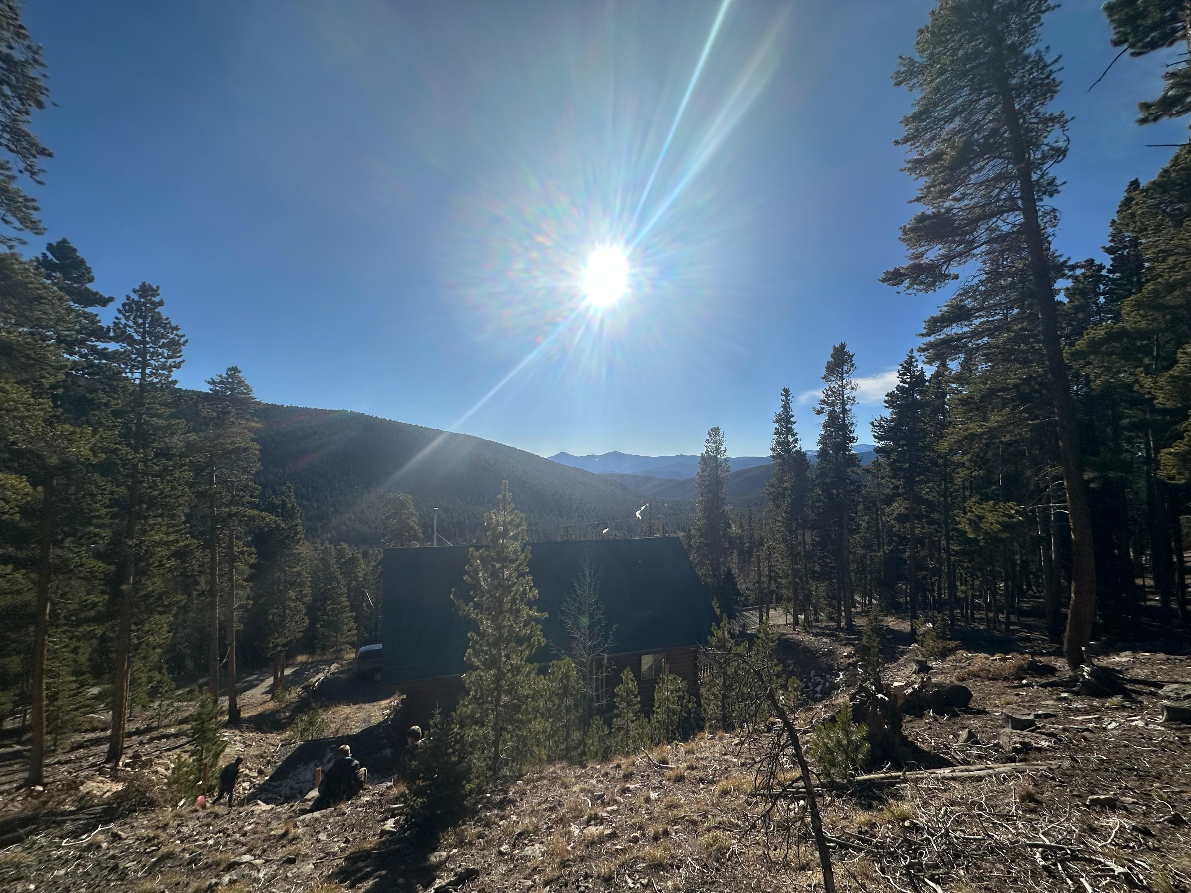 View from the back of the house 