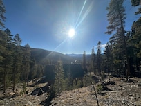 View from the back of the house