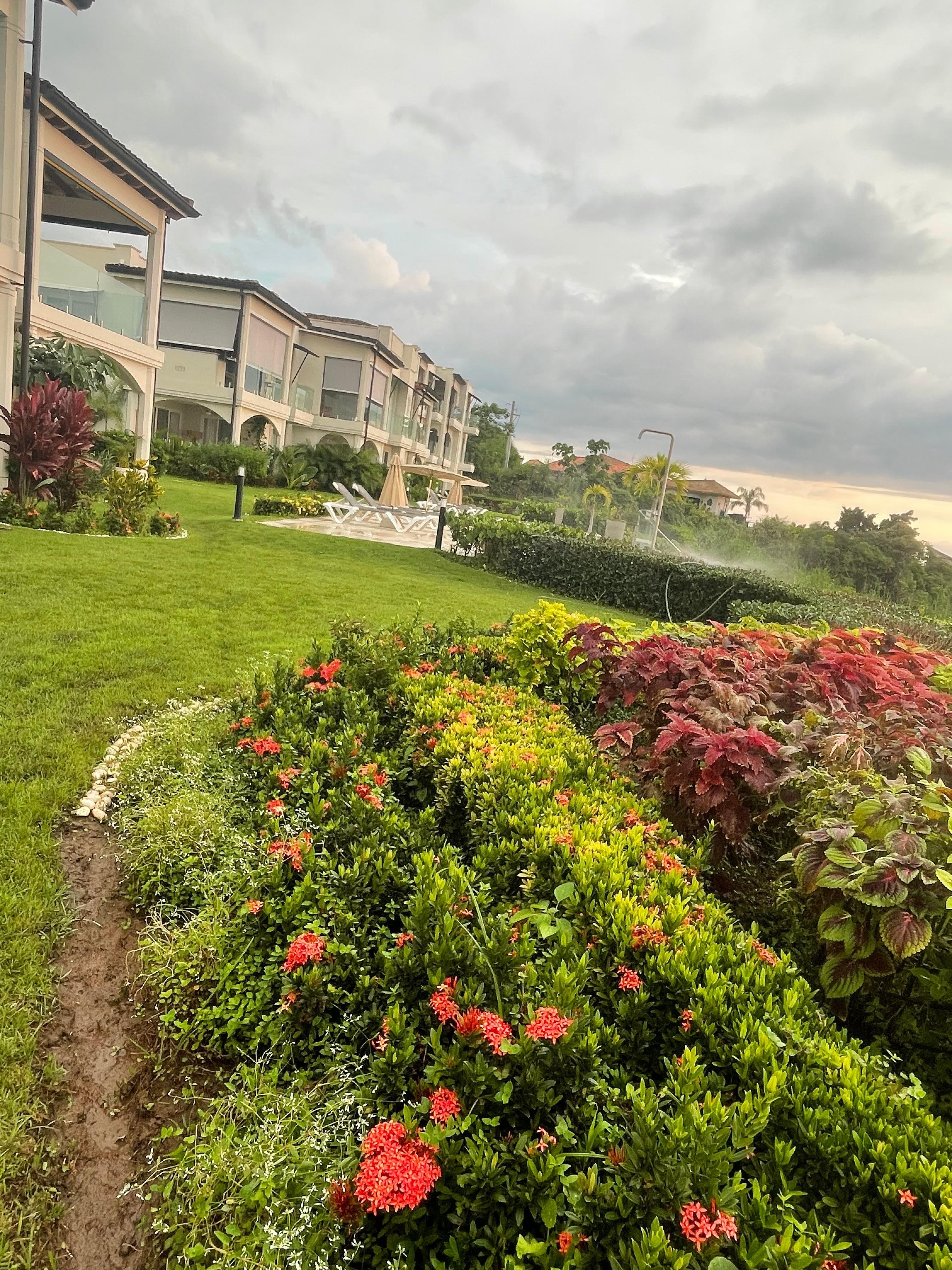 Beautiful landscaping