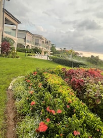 Beautiful landscaping