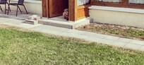 Ideal für Hunde