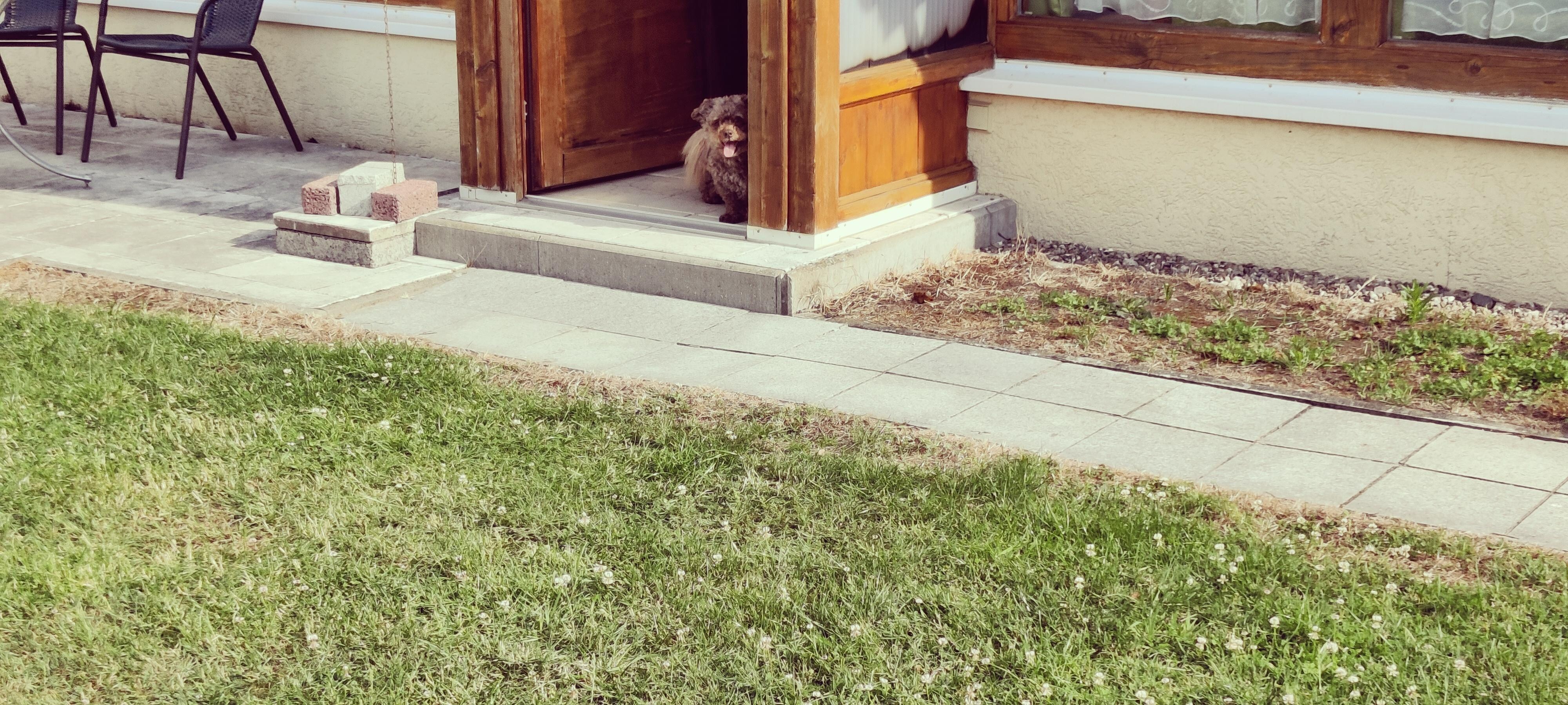 Ideal für Hunde