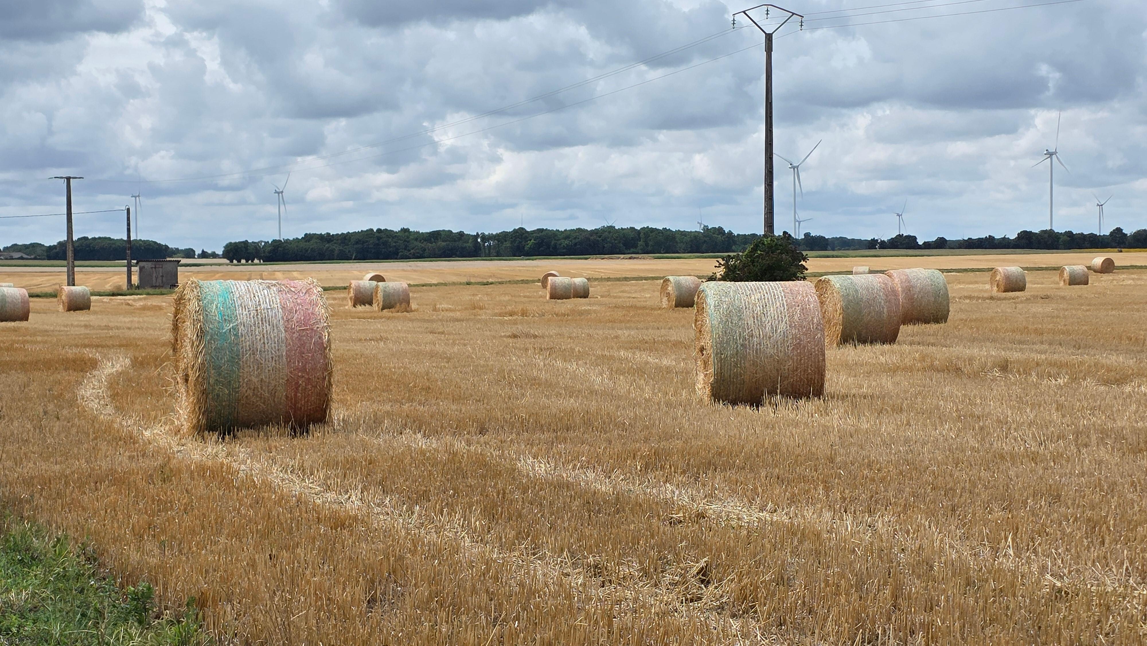 The area around the Gite
