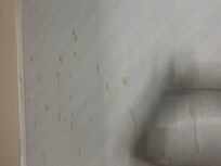 Stains on the window coverings