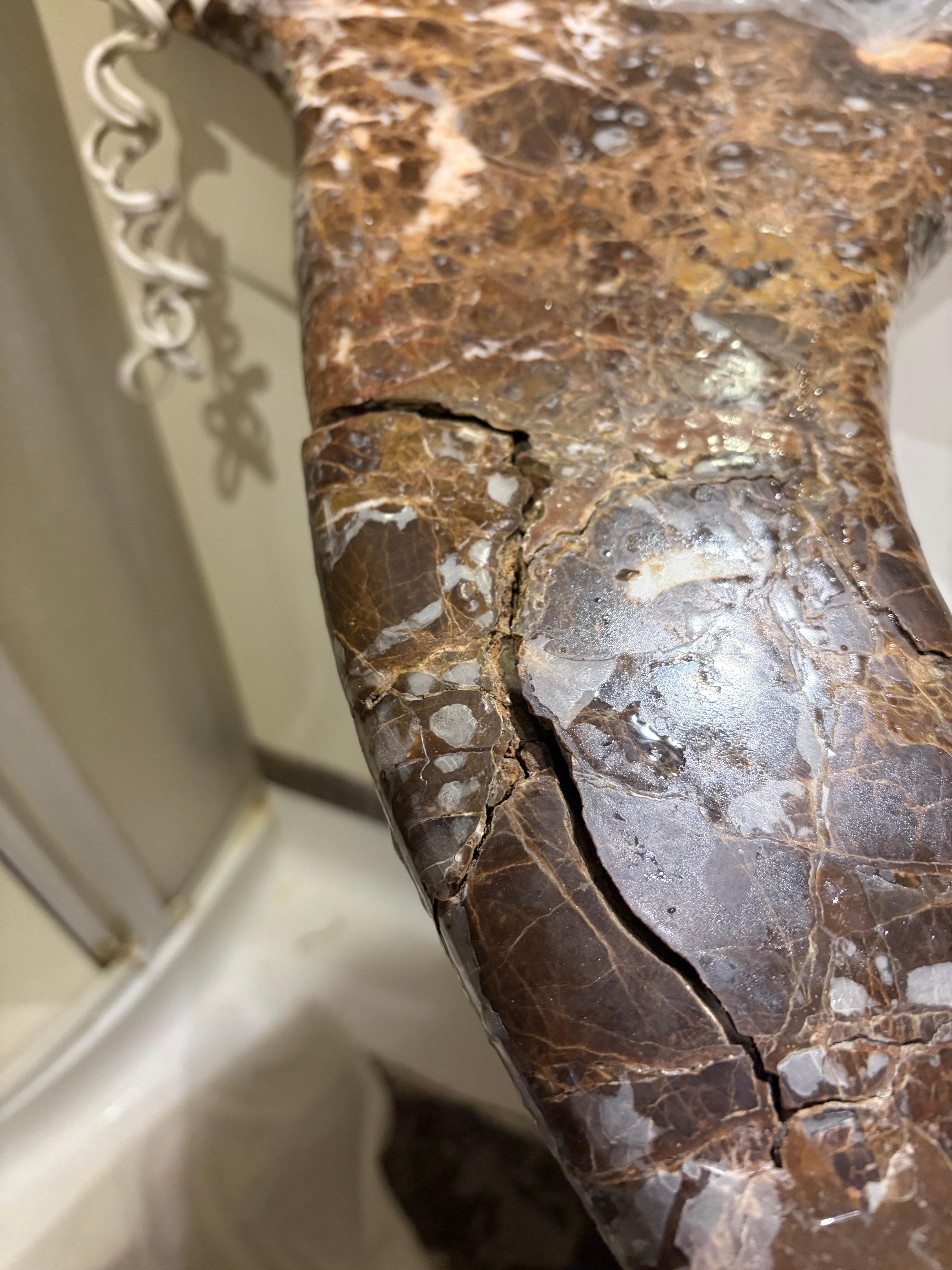 Tout était sale et brisé 