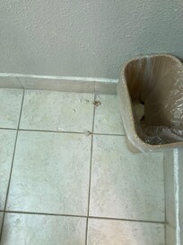 Ceiling falling onto bathroom floors