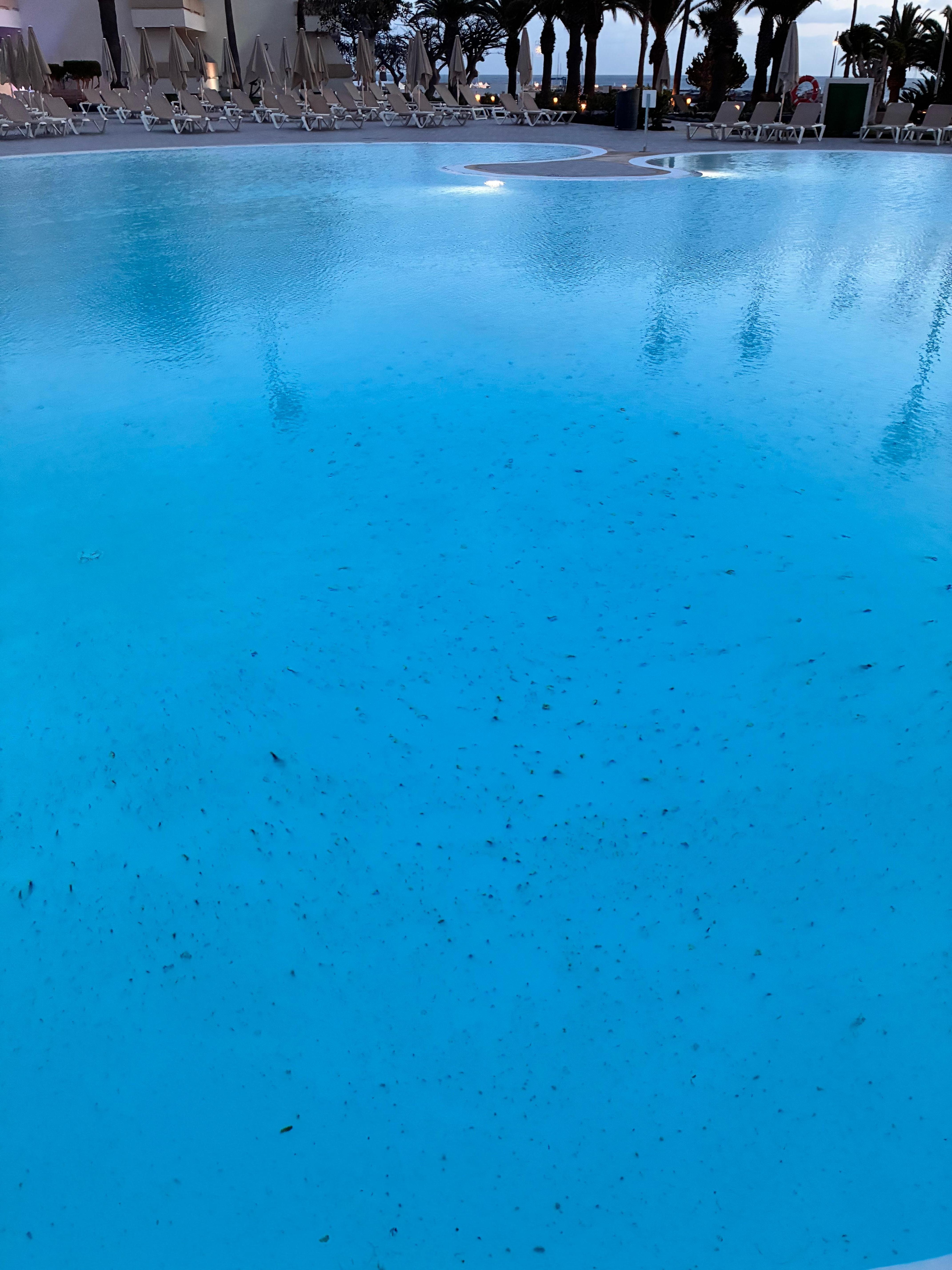 Filthy unclean pool