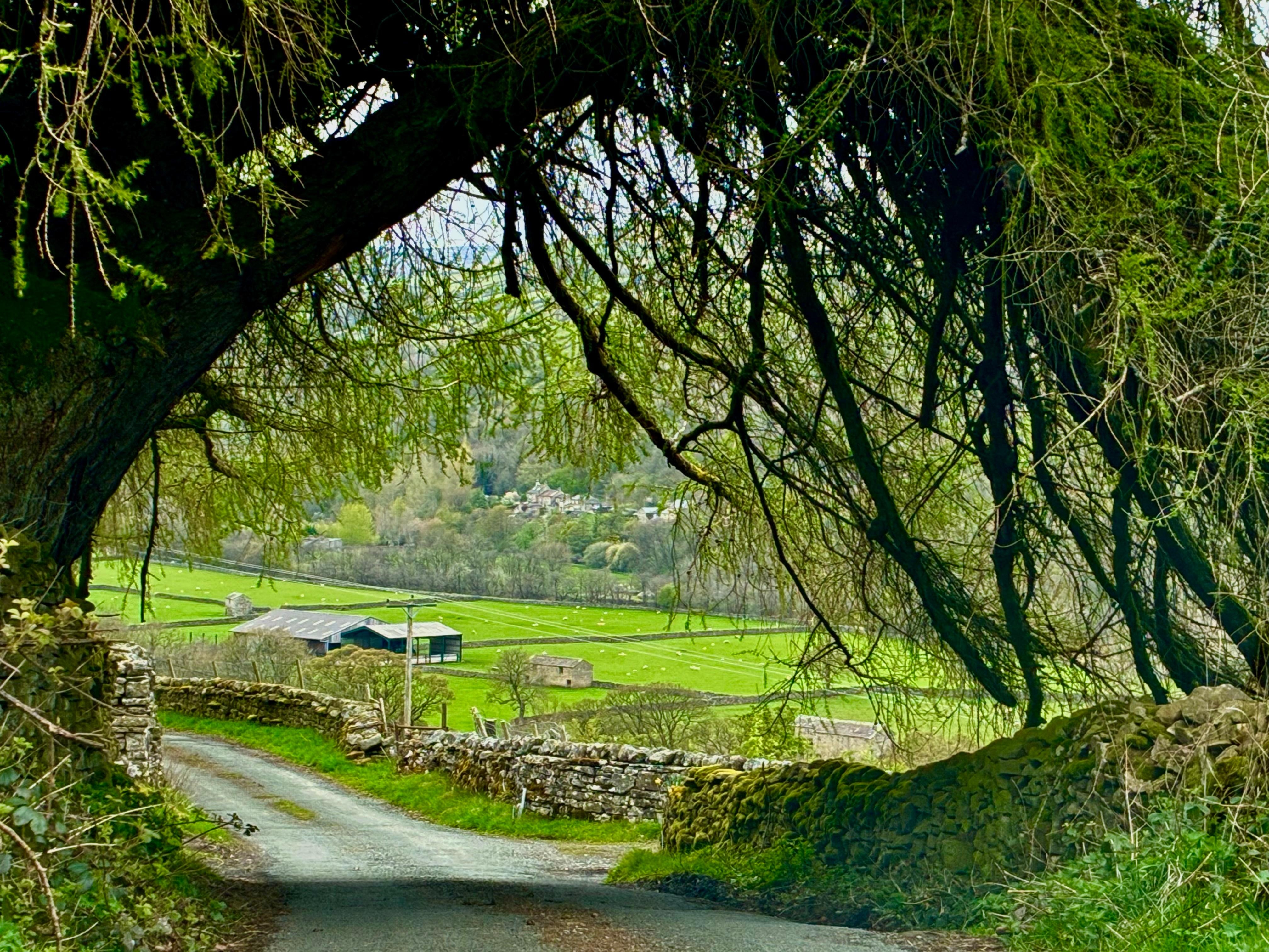 Swaledale near Crackpot