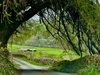 Swaledale near Crackpot