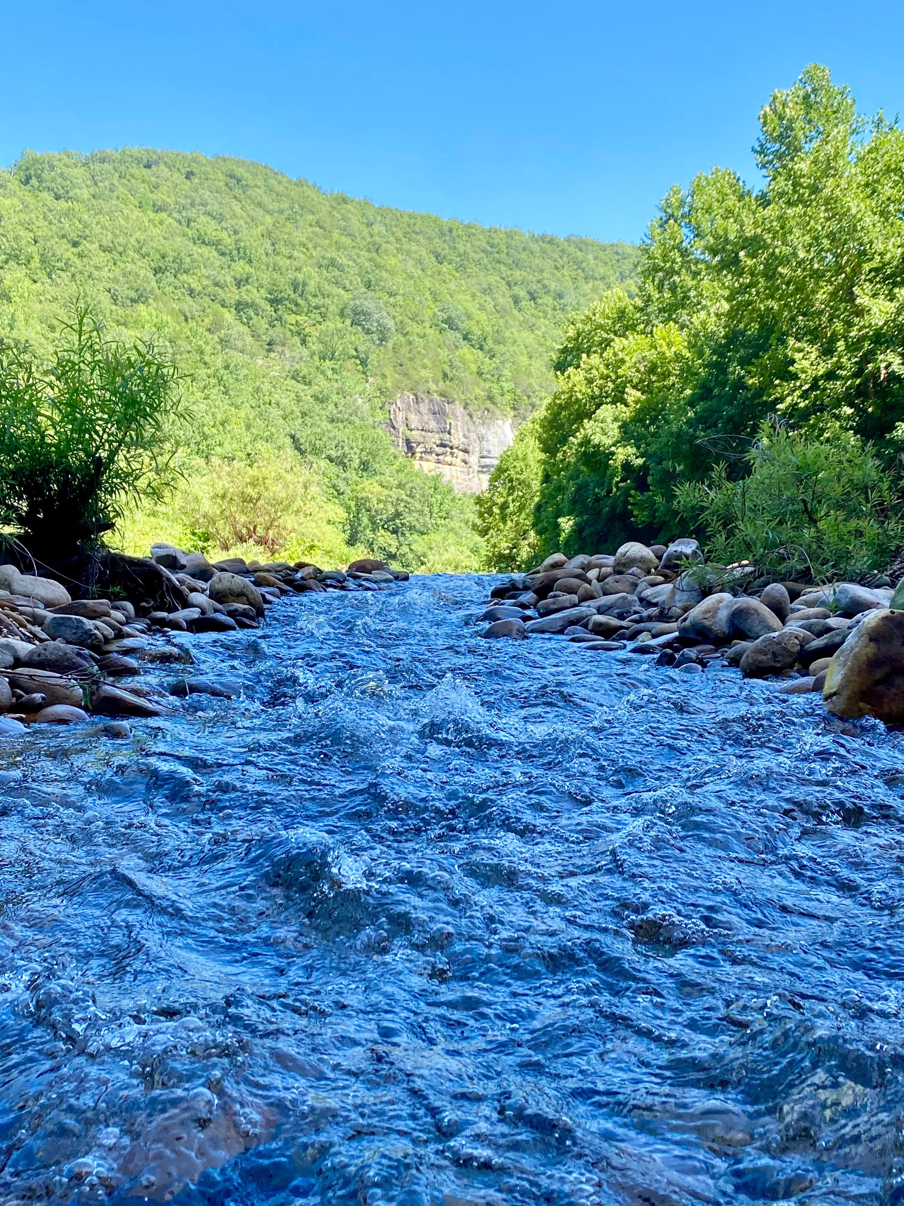 Steal Creek area