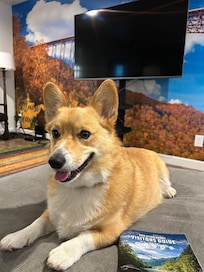 Apollo loved it here!