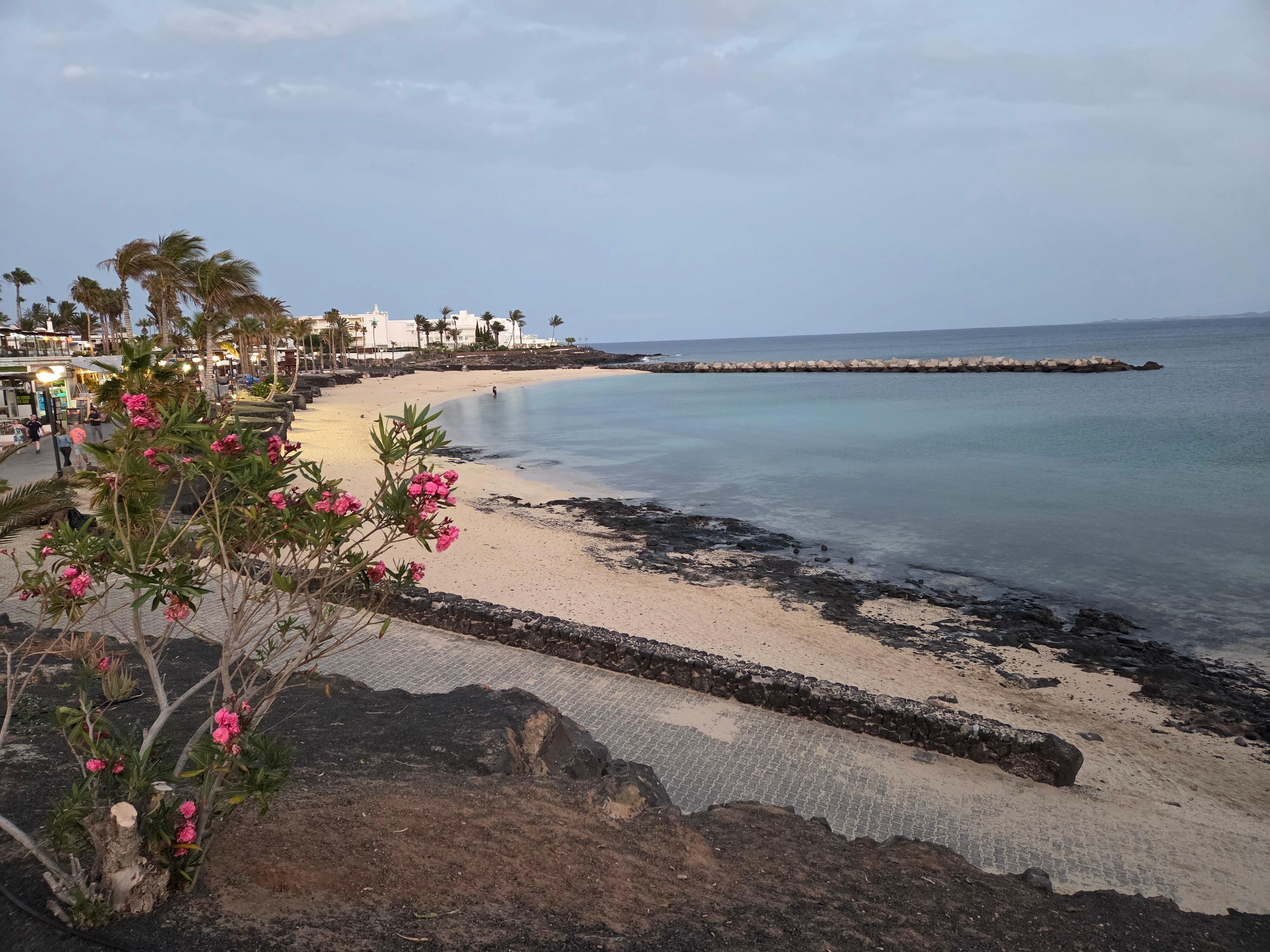 Playa Flamingo