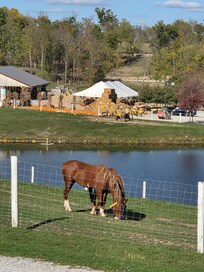 View at the farm... wonderful place to visit