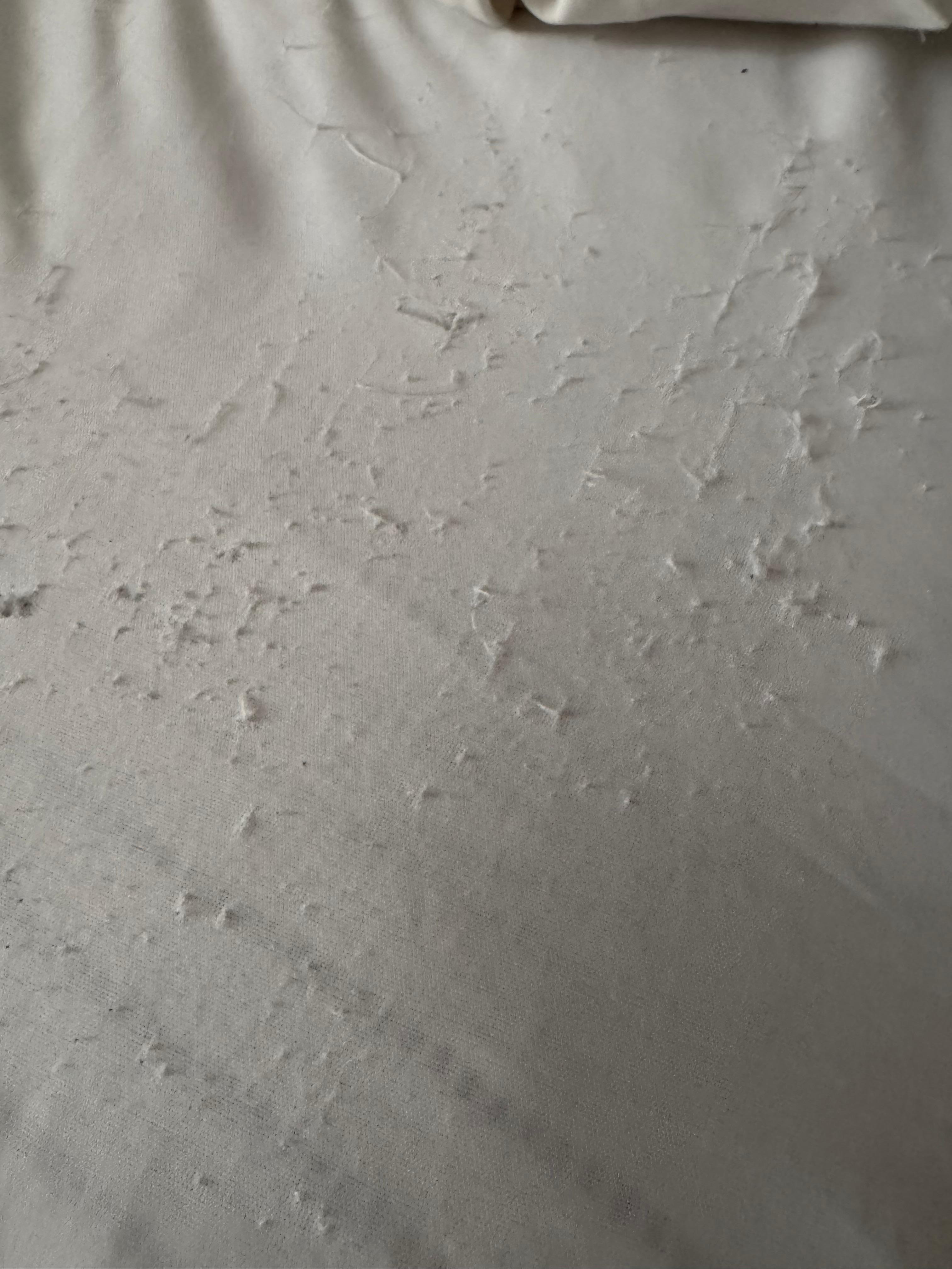 Mattress protector that we had to sleep on because they did not have a fitted sheet on the bed.